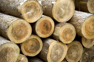 岩手県産木材の活用
